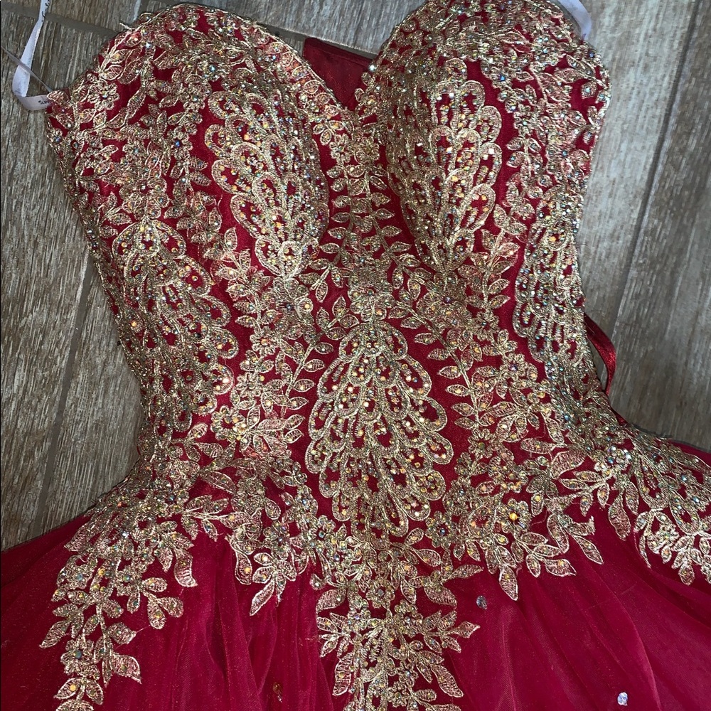 Fiesta Quinciera/Sweet 16 Dress